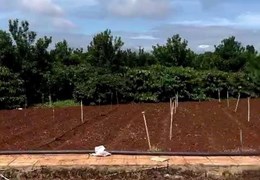 Bán nhanh 3 nền thổ cư hiệp thạnh liên nghĩa Đức Trọng - giá chưa chạm 1 tỷ