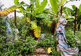 Đất Hưng Phúc, Yên Sở cần bán
