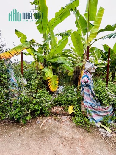 Đất Hưng Phúc, Yên Sở cần bán