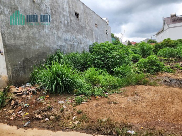 Bán đất 128.3m2 Đường Lý Thường Kiệt Thị trấn Liên Nghĩa - Đức Trọng