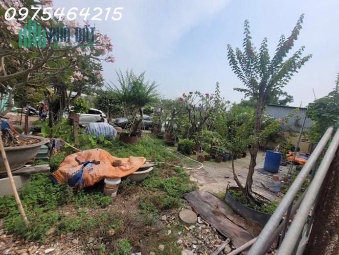 Bán đất 1173m² vuông vức – Hẻm xe tải quay đầu – Đường số 11, Linh Trung, Thủ Đức