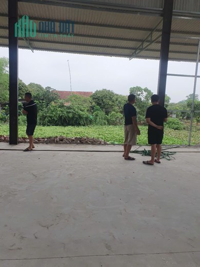 C.Chủ CẦN CHO THUÊ KHO, XƯỞNG Tại Huyện ÂN THI, TỈNH HƯNG YÊN