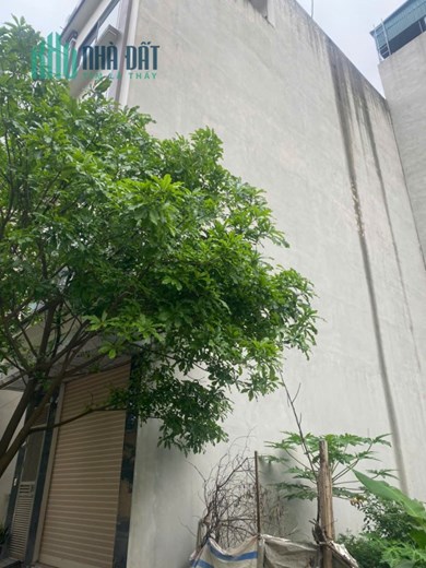 Man Bồi - Gốc Găng Ba La 50 ĐẤT 4 10.8 tỷ Hà Đông Hà Nội

🎉 CHÍNH CHỦ BÁN LÔ ĐẤT DỊCH VỤ ĐẸP