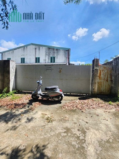 BÁN Xưởng Tân Thạnh Tây, Củ Chi.