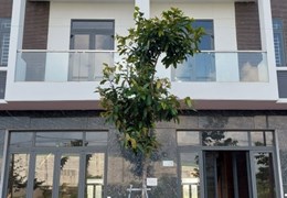  Bán nhà phố liền kề mặt tiền xã đồi 61 
