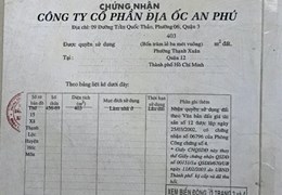Bán biệt thự + kho 845m2 khu BT Thạnh Xuân Quận 12