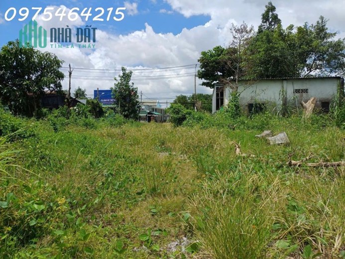 SIÊU PHẨM ĐẤT VÀNG 3034M² – THẠNH MỸ LỢI, TP THỦ ĐỨC 📍