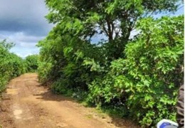 BÁN 2009M2 ĐẤT TỔ 32 THỊ TRẤN LIÊN NGHĨA ĐỨC TRỌNG LÂM ĐỒNG
