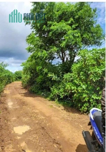 BÁN 2009M2 ĐẤT TỔ 32 THỊ TRẤN LIÊN NGHĨA ĐỨC TRỌNG LÂM ĐỒNG