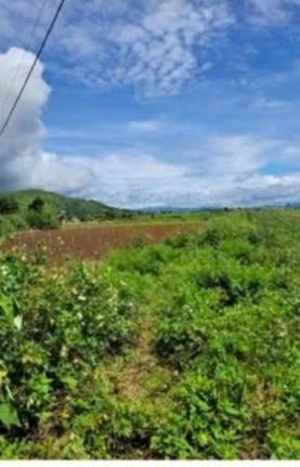 BÁN 2009M2 ĐẤT TỔ 32 THỊ TRẤN LIÊN NGHĨA ĐỨC TRỌNG LÂM ĐỒNG