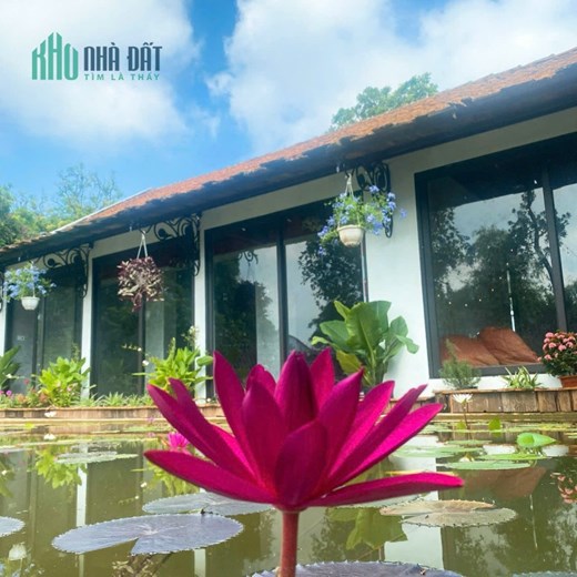 748m Chương Mỹ - Hà Nội . Sẵn khuôn viên