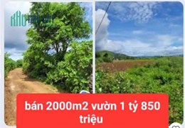 HẠ GIÁ TỪ 2.6 TỶ XUỐNG BÁN 1 tỷ 850 triệu - 2 sào đất vườn tổ 32 liên nghĩa-đức trọng -lâm đồng