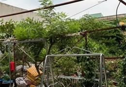 Bán đất 4x18 đường Lê Cơ, Quận Bình Tân