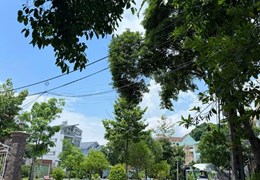 BÁN NHÀ 2 MẶT TIỀN KHU DÂN CƯ HIM LAM – TRƯỜNG THỌ, THỦ ĐỨC
