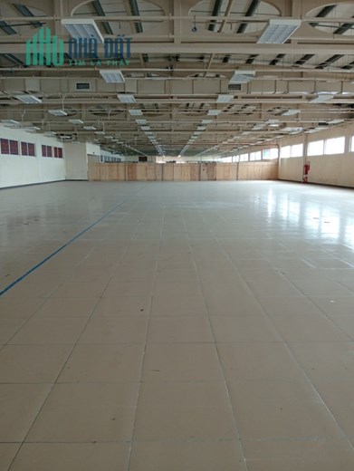 CHO THUÊ  KHO CHỨA HÀNG Tại MÊ LINH PLAZA. MÊ LINH. HÀ NỘI
