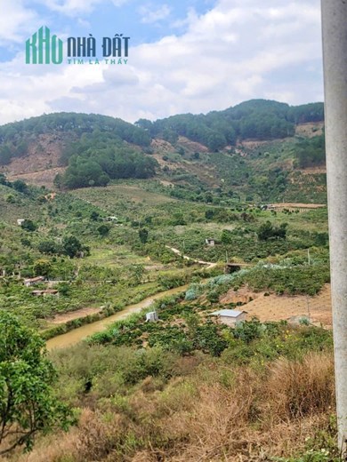 CẦN BÁN 6525M ĐẤT SỔ RIÊNG TÀ NUNG ĐÀ LẠT - giá chỉ 6 tỷ