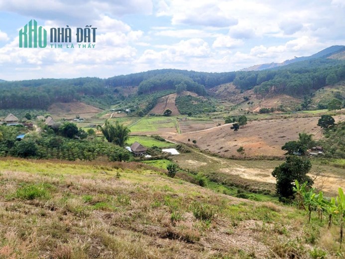 CẦN BÁN 6525M ĐẤT SỔ RIÊNG TÀ NUNG ĐÀ LẠT - giá chỉ 6 tỷ