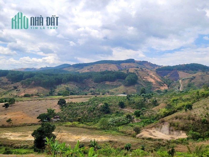 CẦN BÁN 6525M ĐẤT SỔ RIÊNG TÀ NUNG ĐÀ LẠT - giá chỉ 6 tỷ