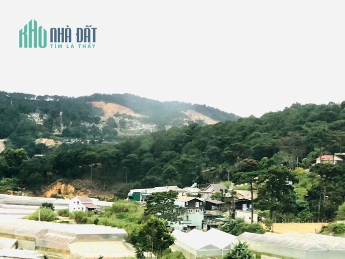 CHO THUÊ HOMESTAY AN SƠN P4 ĐÀ LẠT - 8PN, GPKD, PCCC, FULL NỘI THẤT - 22 TRIỆU/THÁNG