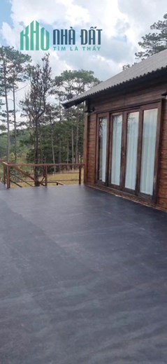 Cần bán 28 sào đa nhim lạc dương - giá chào 400tr/sào