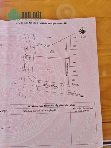 KẸT TIỀN BÁN ĐẤT NỞ HẬU GẦN CẦU TÔ NGỌC VÂN, PHAN ĐÌNH PHÙNG ĐÀ LẠT