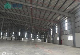 CHO THUÊ KHO, XƯỞNG MỚI XD TẠI ĐT379 TÂN TIẾN. VĂN GIANG. HƯNG YÊN