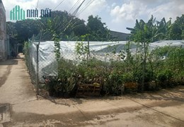 Quá rẻ lô đất 313m, ngang 16m, lô góc, ra mặt tiền đường, Trường Thạnh, Thủ Đức, chỉ 7,59 tỷ.