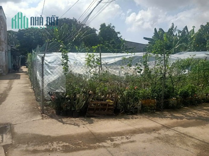 Quá rẻ lô đất 313m, ngang 16m, lô góc, ra mặt tiền đường, Trường Thạnh, Thủ Đức, chỉ 7,59 tỷ.