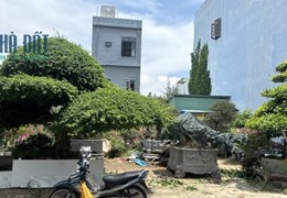 100m đất đường TRần Quốc Hoàn,H; Bắc,giá;8tr/tháng,thuê lâu dài
