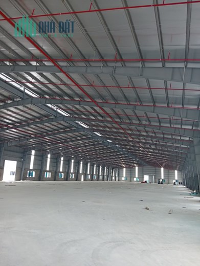 NHÀ XƯỞNG Tại Đường 204 CHÍ DÂN. KHOÁI CHÂU. HƯNG YÊN
