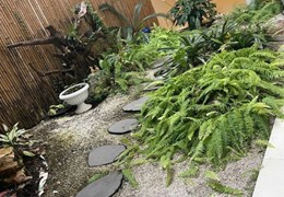 Chủ đi định cư bán gấp căn biệt thự sân vườn, 360m2, kdc sadeco phước kiểng, đối diện trường rmit