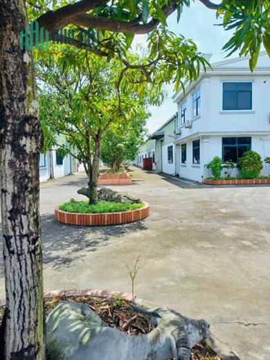 🏭 BÁN NHÀ MÁY + ĐẤT 9.907m² NGAY TRUNG TÂM TP. NAM ĐỊNH 🌟