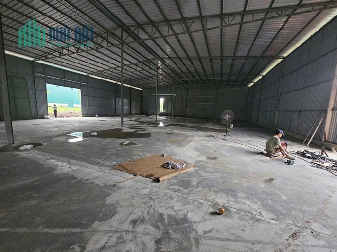 CHO THUÊ KHO, XƯỞNG Tại QL17. PHÚ THỊ. GIA LÂM. TP HÀ NỘI