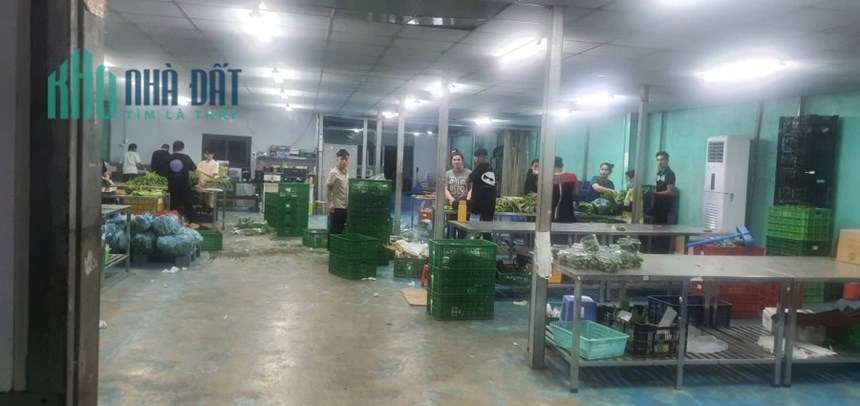 Kho xưởng cho thuê 900m2 An Phú Đông Quận 12