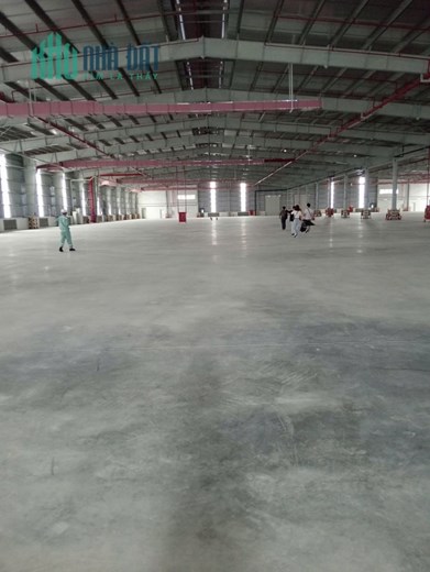 CHO THUÊ NHÀ XƯỞNG Tại KCN VSIP TỪ SƠN. BẮC NINH