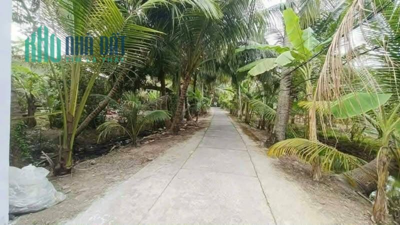 Bán đất có nhà 114m2 khu phố 23, phường Đạo Thạnh, Đồng Tháp.