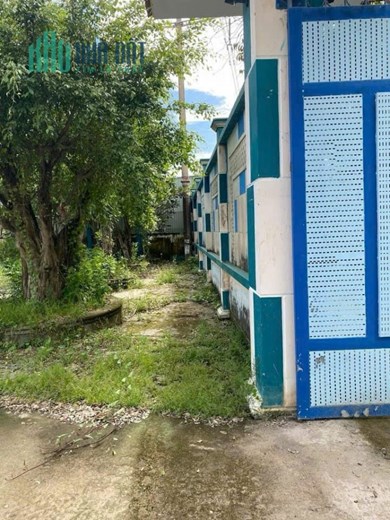Mặt đường Quản Lộ Phụng Hiệp, 9000m, ngang 68m, giá sốc 36 tỷ, Tân Thành, Cà Mau.