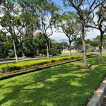 25 tỷ/190m2.Tặng nhà 2,5 tấm,đường An Dương Vương (H:Tây), kề Sông Hàn, P. M. An, N,H.Sơn, Đ.Nẵng