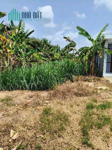 472m2 đất mặt tiền Huyện lộ 28,Thanh Bình,Chợ Gạo,Tiền Giang.