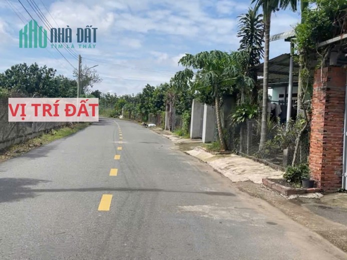 Bán đất mặt tiền đường nhựa có sẵn vườn bưởi tại Trừ Văn Thố Bàu Bàng Bình Dương.