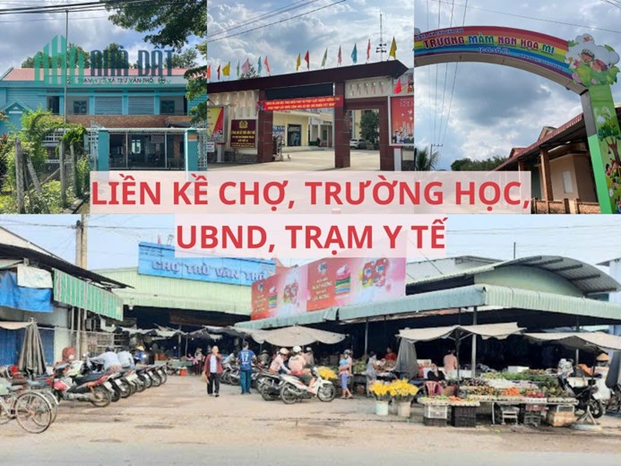 Bán đất mặt tiền đường nhựa có sẵn vườn bưởi tại Trừ Văn Thố Bàu Bàng Bình Dương.