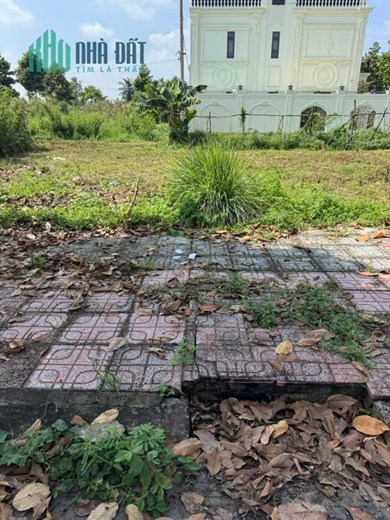 Nền 5x20m đường D11,khu dân cư Long Hòa,phuờng Đạo Thạnh,Đồng Tháp.
