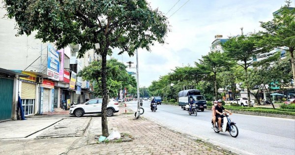 Bán đất thổ cư thị trấn An Lão, đối diện bệnh viện quốc tế an lão, 5p tới KCN Tràng Duệ