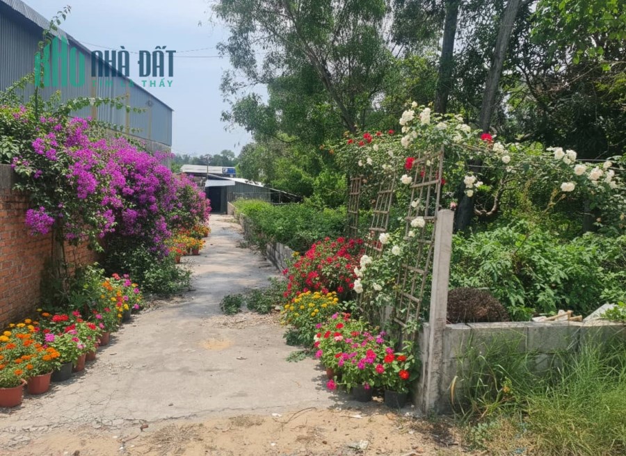 Đất Phú Quốc giảm 30% so với khu vực - Chính chủ cần bán gấp