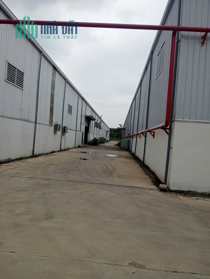 CHO THUÊ KHO XƯỞNG 2.900M2 tại TÂN DÂN, KHOÁI CHÂU. HƯNG YÊN. MẶT ĐƯỜNG QL39.