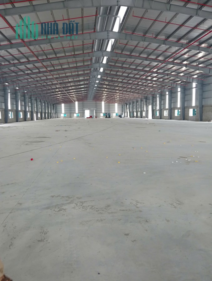 CHO THUÊ HỆ THỐNG NHÀ XƯỞNG 23.350M2 Tại KCN TAM NÔNG, PHÚ THỌ