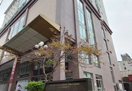 Cho thuê văn phòng 11B Cát Linh, chủ đầu tư BRG, diện tích linh hoạt