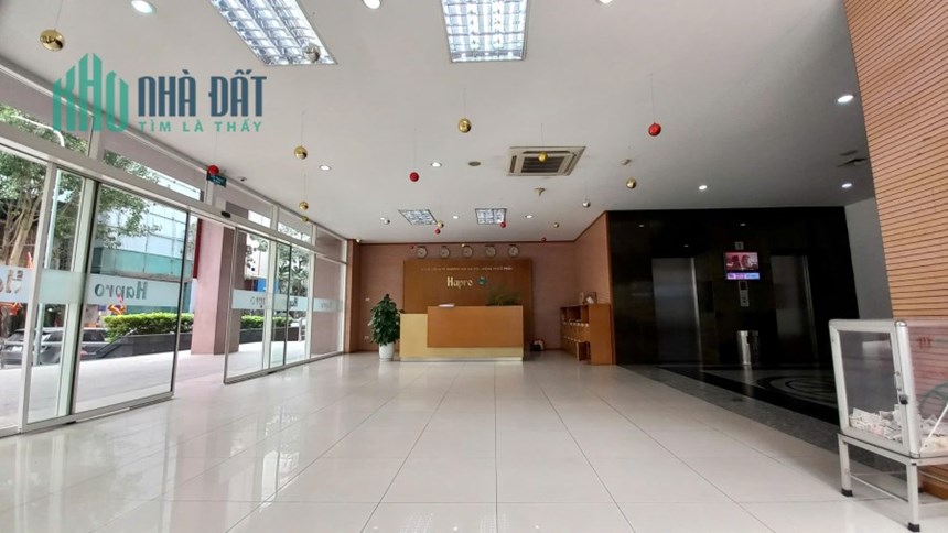 Cho thuê văn phòng 11B Cát Linh, chủ đầu tư BRG, diện tích linh hoạt