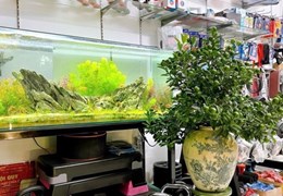 Giang Văn Minh VIETTEL, NGÕ RỘNG 3 GÁC PHÓNG – 4 tầng 37m chỉ 12.9 tỷ - NHÀ ĐẸP KINH DOANH