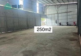 Cho thuê kho xưởng 250m2 Vườn Lài An Phú Đông